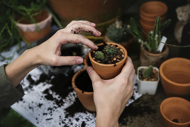 Impact environnemental : qui est vraiment plus propre ?