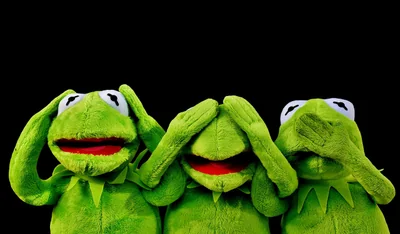kermit